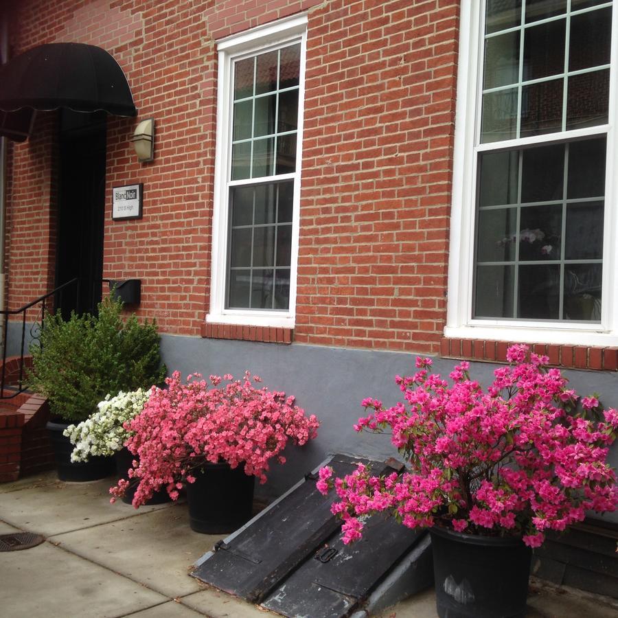 Blancnoir Acomodação com café da manhã Baltimore Exterior foto